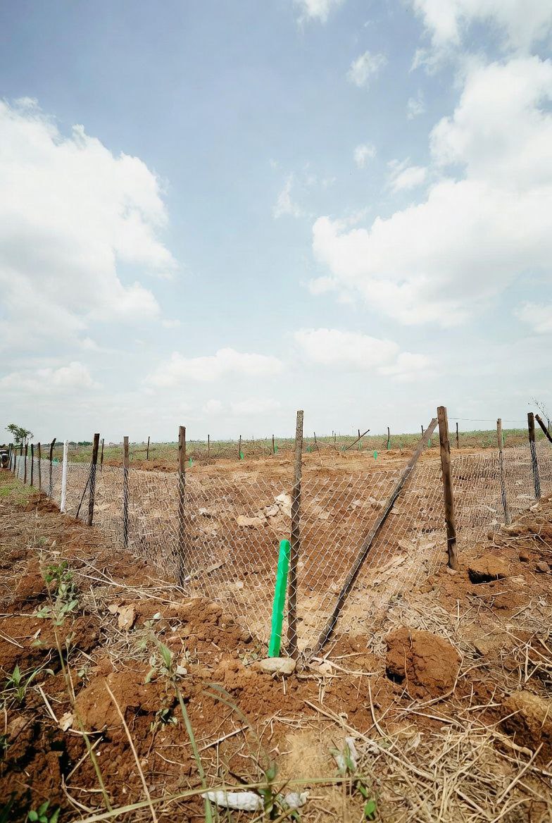 photo_2026-02-26_07-48-07